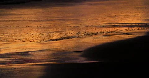 Sunset Orange Red Colors On Sandy Dark Beach With Gentle Waves Stock Footage 138075679