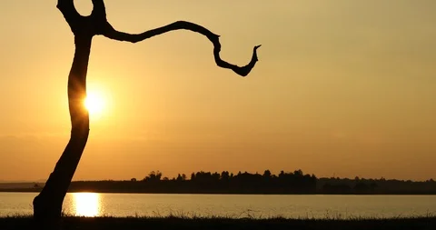 Sunset orange sky Stock Footage 119898357