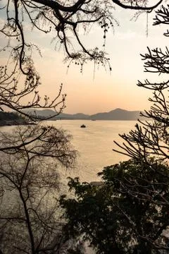 Sunset orange sky with tree shadow at dusk 스톡 사진