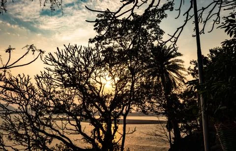 Sunset orange sky with tree shadow at dusk Foto stock