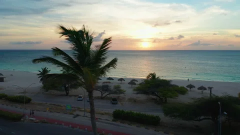 Sunset Orbiting Aerial of a Palm tree at Eagle Beach in Aruba Stock Footage 236405854