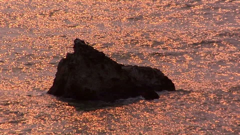 Sunset on the Oregon Pacific Coast Stock Footage 327887261