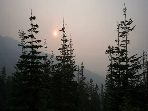Sunset in Oregon wildfire forest fire time lapse Stock Footage 79305133