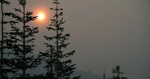 Sunset in Oregon wildfire forest fire time lapse Vidéo 79389159