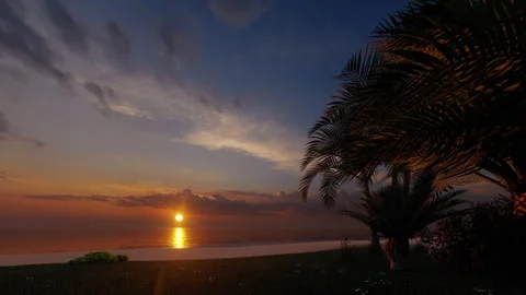 Sunset ot the beach with palms and ocean romantic scene Stock Footage 265131986