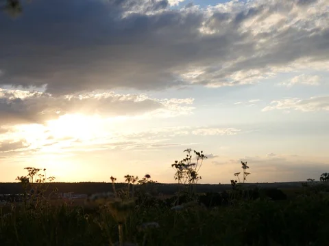 Sunset outside the city on a clearing Stock Footage 77630061