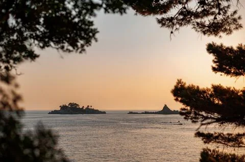 Sunset Over Adriatic Islands Framed by Pines Stock Photos