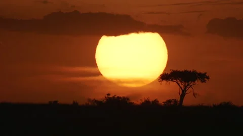 Sunset Over African Savannah with Acacia Tree Stock Footage