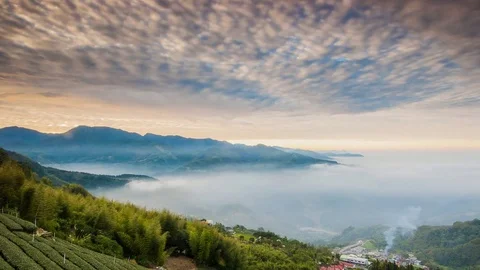 Sunset over Alishan Range, Alisan National Park, Taiwan Stock-Footage 74269741