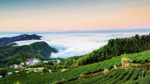Sunset over Alishan Range, Alisan National Park, Taiwan Stockbeeldmateriaal 86834624