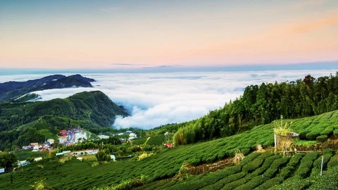 Sunset over Alishan Range, Alisan National Park, Taiwan Stock-Footage 86834627