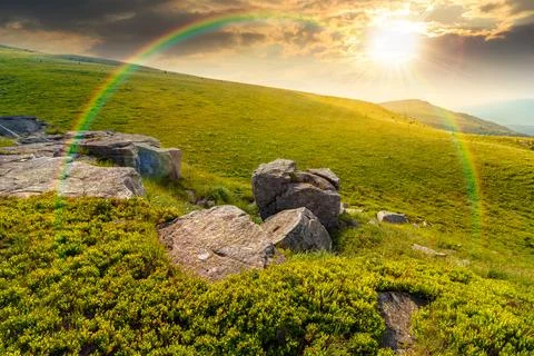 Sunset over alpine meadow in summer nature Fotos Stock