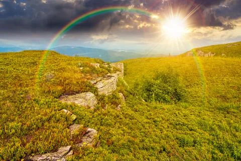 Sunset over alpine meadow in summer nature Fotos Stock