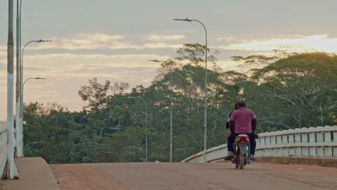 Sunset Over the Amazon Rainforest Seen from a River Bridge in Bolivia Stock Footage 311989918
