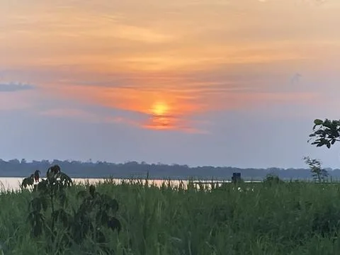 Sunset Over the Amazon Riverbank Stock Photos