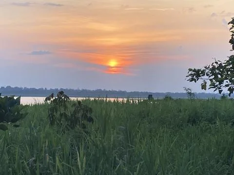 Sunset Over the Amazon Riverbank Stock Photos