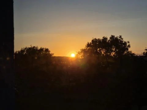 Sunset Over Amber Tree Landscape Stockfoto's