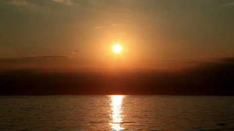 Sunset over Atlantic Ocean with Bird Flying Stock Footage 924405