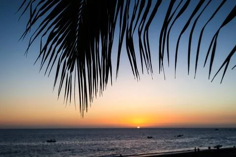 Sunset over the Atlantic Ocean framed by palm tree fronds 스톡 사진