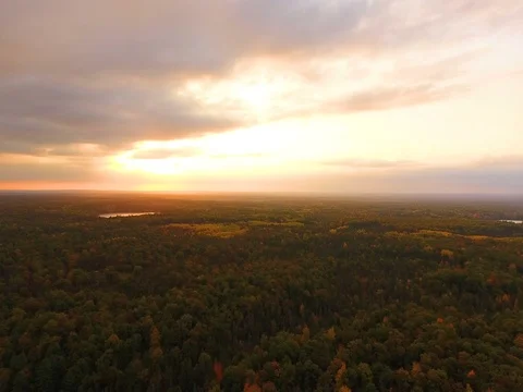 Sunset over autumn forest Stock Footage 76003763