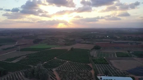 Sunset over Avocado groves Stock Footage 164230195