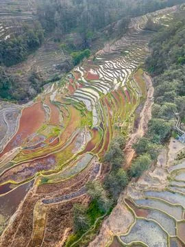 Sunset over Bada rice terraces in Yuanyang rice terraces, Yunnan, China, ae.. Stock Photos