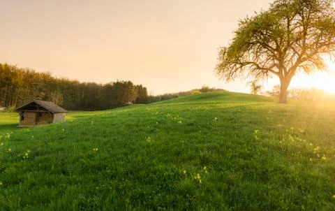 Sunset over a barn and spring meadow Stock Photos