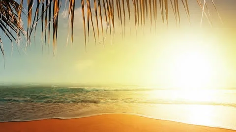 Sunset over the beach Video stock 22936678