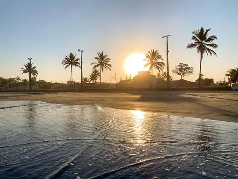 Sunset over the beach with palm trees Stock Photos