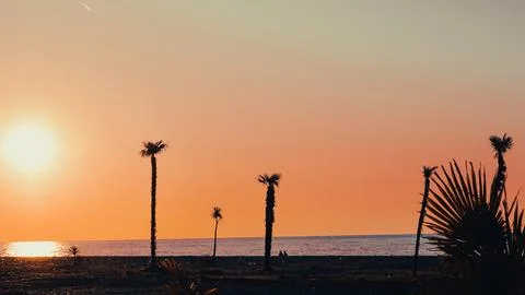 Sunset over beach with palm trees silhouetted against colorful sky Stock Photos