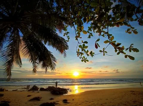 Sunset over the beach with palm trees and rocks in a coastal area Stock Photos