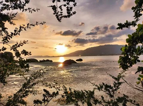 Sunset over the beach with rocks and trees framing the view near the water... Stock Photos