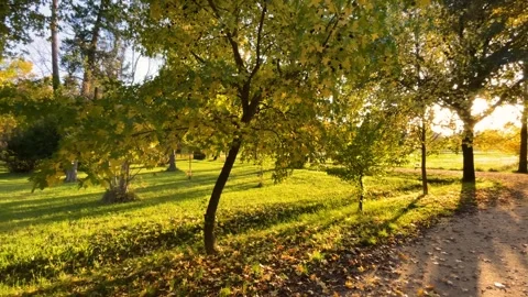 Sunset over beautiful gardens Stock-Footage 301686668