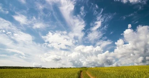 Sunset over big field time laps, video loop Video stock 79993959