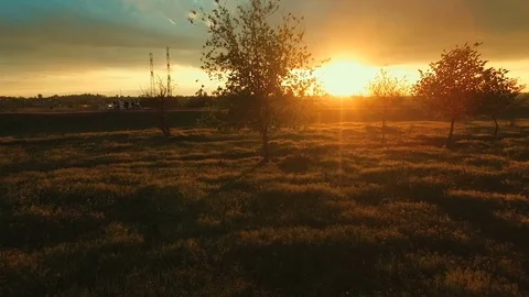 Sunset over big meadow Stock Footage 76192754