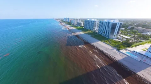 Sunset Over Boca Raton Beach | 4K Drone Footage | Waves, Algae Stock Footage 313843772