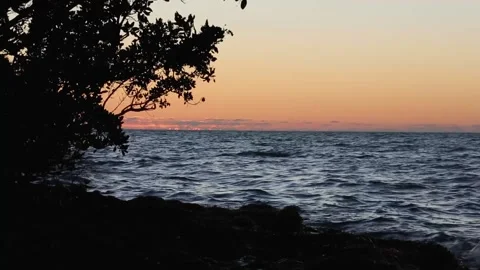 A sunset over a body of water Stock Footage 155594467