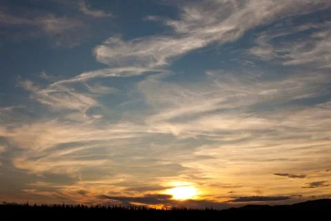 Sunset over boreal forest Stock Photos