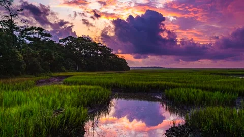Sunset over Botany Bay Stock Footage 265991361