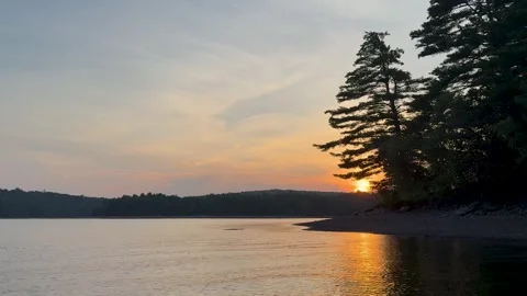 Sunset Over Calm Lake with Pine Trees and Water Reflection Stock Footage 340986947