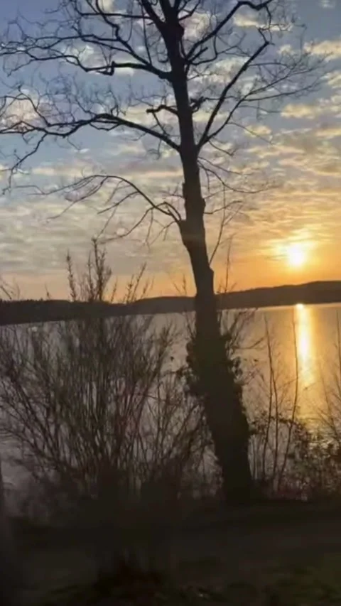 Sunset Over Calm Lake with Tree Silhouette Stock Footage 330543162