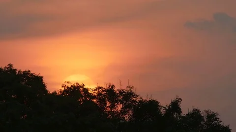 Sunset over the canopy Stock Footage 76058728