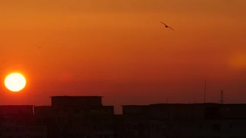 Sunset Over A City With Birds Flying Over Stockbeeldmateriaal 85345205