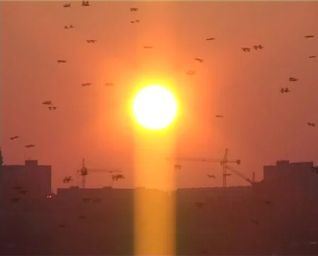 Sunset over a city Stock-Footage 373878