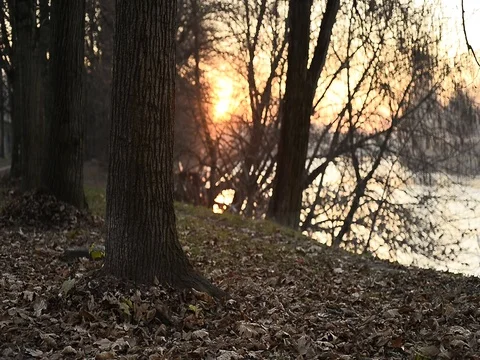 Sunset over the city park river in Turin, Italy Stock Footage 76193049