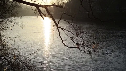 Sunset over the city park river in Turin, Italy Stock Footage 76194442