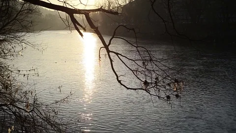Sunset over the city park river in Turin, Italy Stock Footage 76194448