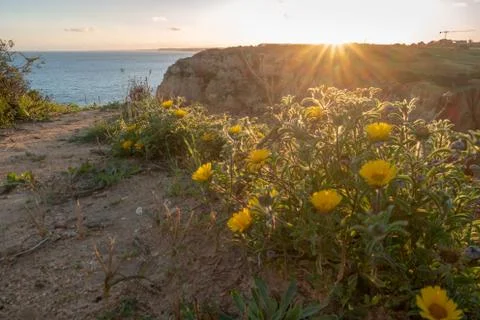 Sunset over the cliffs and beaches by Atlantic Ocean, Lagos, Algarve, Portuga Stock Photos