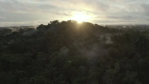 Sunset over a cloud forest in the amazon rainforest (Aerial drone footage) Stock Footage 312219031