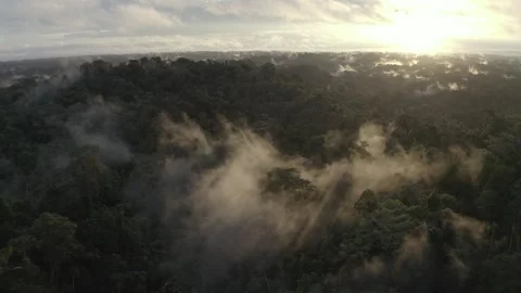 Sunset over a cloud forest in the amazon rainforest (Aerial drone footage) Stock Footage 312219066